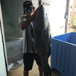 Meet your Posher, George